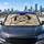 duiyfppz/products/6a4b1becf8b8354288b0fc53/gallery/A3gGk-59on