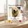 Custom Dog Memorial Acrylic Plaque, Personalized Pet Loss Sympathy Gift - 1