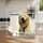 Personalized Pet Memorial Acrylic Block, Forever in Our Hearts Dog Sympathy Gift, Custom Photo Remembrance Keepsake, Loss of Dog Plaque - 2