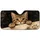 duiyfppz/products/6a4b288b20b8397cd71a28f0/gallery/J6nn1U0QCs