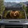 duiyfppz/products/6a4b2a2adba23aee2f0f1a41/gallery/K4bsUHiaUc