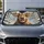 duiyfppz/products/6a4b2a53aafca3b400077a46/gallery/rJofIIRDtY