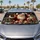 duiyfppz/products/6a4b2a68133bb84f904f31be/gallery/wo8NOFJCZt