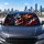 duiyfppz/products/6a4b2cd921ae6ad69b7154d8/gallery/e3TO9w46b5