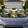 duiyfppz/products/6a4b2e0ff8b835a9fab11a7f/gallery/QIyb9YIMxx