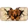 duiyfppz/products/6a4b2f50aafca39f100793c6/gallery/mCJu6aH5fm