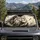 duiyfppz/products/6a4b30ffaafca39ae607a493/gallery/1bGmrae360