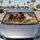 duiyfppz/products/6a4b312521ae6a22c4717ce7/gallery/IUhtYOwvAT