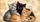 duiyfppz/products/6a4b31b8aafca390b507ad0c/gallery/EuYGBJtcS_