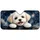 duiyfppz/products/6a4b324a20b839482b1a6978/gallery/7IQO4Yjon1