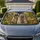 duiyfppz/products/6a4b32886e4e0d8dfe86f15c/gallery/U4OtxBcjpk