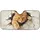 duiyfppz/products/6a4b35e16e4e0d670c870023/gallery/u0sBFqipDS