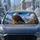 duiyfppz/products/6a4b36f1aafca31d5e07c5c3/gallery/Eh27-N5n_Q