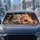 duiyfppz/products/6a4b371a95e9f081959e138c/gallery/m0b9Vvyzj5