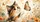 duiyfppz/products/6a4b372cdba23a714b0f68ac/gallery/hHeO7cpZUJ