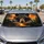 duiyfppz/products/6a4b3c0a20b8390da81a82f8/gallery/hnOMq7rsMa