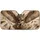 duiyfppz/products/6a4b40a9a55e2e0e7439128e/gallery/wNTIl7nev2