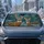 duiyfppz/products/6a4b412395e9f0ac0b9e22b9/gallery/_0JK4wySTR