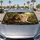duiyfppz/products/6a4b41876296990e5ef8bc47/gallery/C6K8hrD0f-
