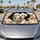 duiyfppz/products/6a4b436921ae6a1cfc71ae66/gallery/dHVrYqWgQT