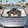 duiyfppz/products/6a4b5aca133bb883994fb240/gallery/TybwmE6otQ