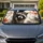 duiyfppz/products/6a4b5adeaafca3d8e207f7bf/gallery/Pm7lZCxP7-