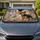 Yorkshire Terrier Whisper Play Realistic Pet Portrait For Yorkie Dog Lovers Gift Car Sunshade - 1