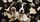 Realistic Border Collie Torn Paper Look For Dog Lovers Daily Road Trip Bold Style Car Sunshade - 6