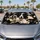 Realistic Border Collie Torn Paper Look For Dog Lovers Daily Road Trip Bold Style Car Sunshade - 2
