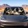 Realistic Border Collie Torn Paper Look For Dog Lovers Daily Road Trip Bold Style Car Sunshade - 4