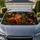 Cute Red Squirrel Peeking From Forest Tree For Woodland Drives And Nature Lovers Car Sunshade - 1