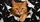 Ginger Tabby Cat Ripping Through Torn Paper For Bold Pet Lover Style And Cat Fans Car Sunshade - 6