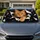Ginger Tabby Cat Ripping Through Torn Paper For Bold Pet Lover Style And Cat Fans Car Sunshade - 1
