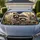 duiyfppz/products/6a4c7181f4763cf510069964/gallery/hQ_9zB4zY-