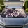 duiyfppz/products/6a4c71b91567113419ab9c69/gallery/WTwDLf0QCX