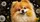duiyfppz/products/6a4c7303e1375e5399fbf9e2/gallery/M_H_wX_pGg