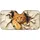 duiyfppz/products/6a4c738620b8391e9d1bdf03/gallery/_OdMKSJ4bh
