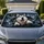 duiyfppz/products/6a4c759df4763c4608069c71/gallery/WCJbjTcsU1