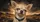 Puzzled Chihuahua Portrait With Black Collar Desert Road Decor Gift For Dog Lovers Car Sunshade - 6