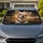 Puzzled Chihuahua Portrait With Black Collar Desert Road Decor Gift For Dog Lovers Car Sunshade - 2
