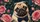 Cute Fawn Pug With Navy Bow Tie And Pink Roses For Dog Lovers And Daily Drive Decor Car Sunshade - 6