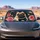 Cute Fawn Pug With Navy Bow Tie And Pink Roses For Dog Lovers And Daily Drive Decor Car Sunshade - 4
