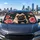 Cute Fawn Pug With Navy Bow Tie And Pink Roses For Dog Lovers And Daily Drive Decor Car Sunshade - 5