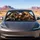 Roaring Dinosaurs In Vehicle Cabin Road Trip Adventure Decor Gift For Dino Lovers Car Sunshade - 4