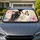 Black White Cat With Rainbow Butterfly Watercolor Decor For Daily Commute Cat Lovers Car Sunshade - 1