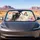 Black White Cat With Rainbow Butterfly Watercolor Decor For Daily Commute Cat Lovers Car Sunshade - 2