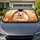 Cute Hedgehog With Heart Paws Autumn Woodland Decor For Cozy Nature Lovers Gift Idea Car Sunshade - 1