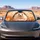 Cute Hedgehog With Heart Paws Autumn Woodland Decor For Cozy Nature Lovers Gift Idea Car Sunshade - 4