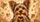 Yorkshire Terrier Puppy With Heart Paws For Dog Mom Gifts And Cozy Pet Lover Style Car Sunshade - 6