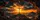 duiyfppz/products/6a4cac1d6e4e0d477788d21f/gallery/x8YgYiI_y-